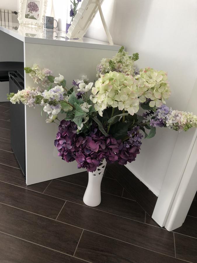 סן קטלדו B&B Rosaly מראה חיצוני תמונה